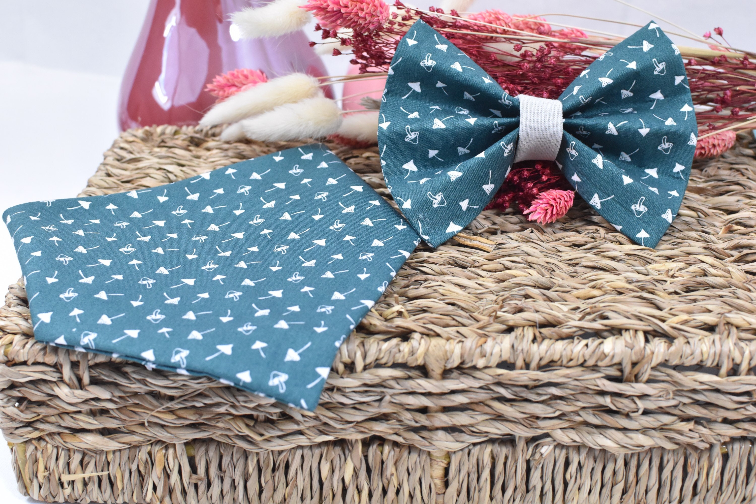 Ensemble Élégant Albert Noeud Papillon et Bandana - Pour Chats Chiens