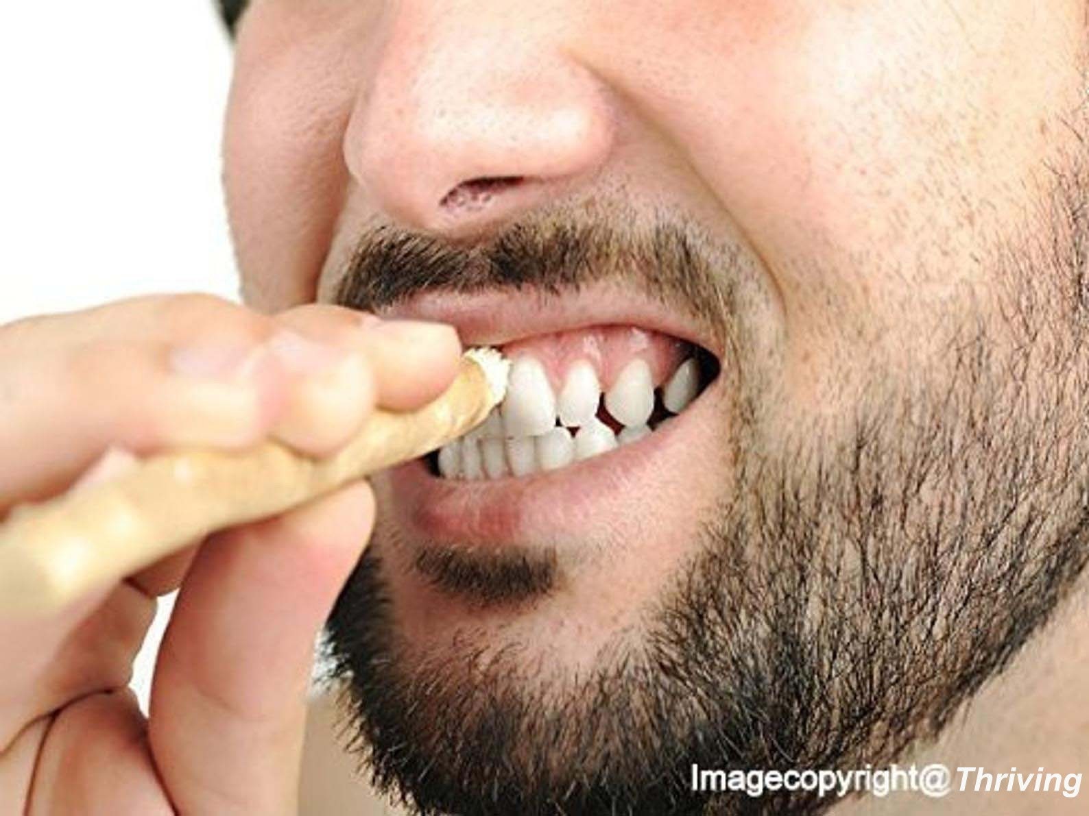 Chewing Datun Sticks /neem Chew Sticks for Healthy Teeth and Etsy