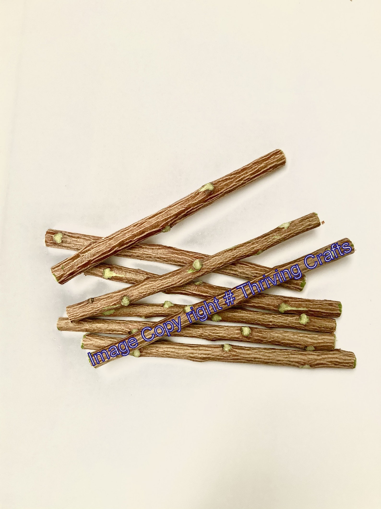 Chewing Datun sticks /Neem Chew Sticks for Healthy Teeth and Etsy