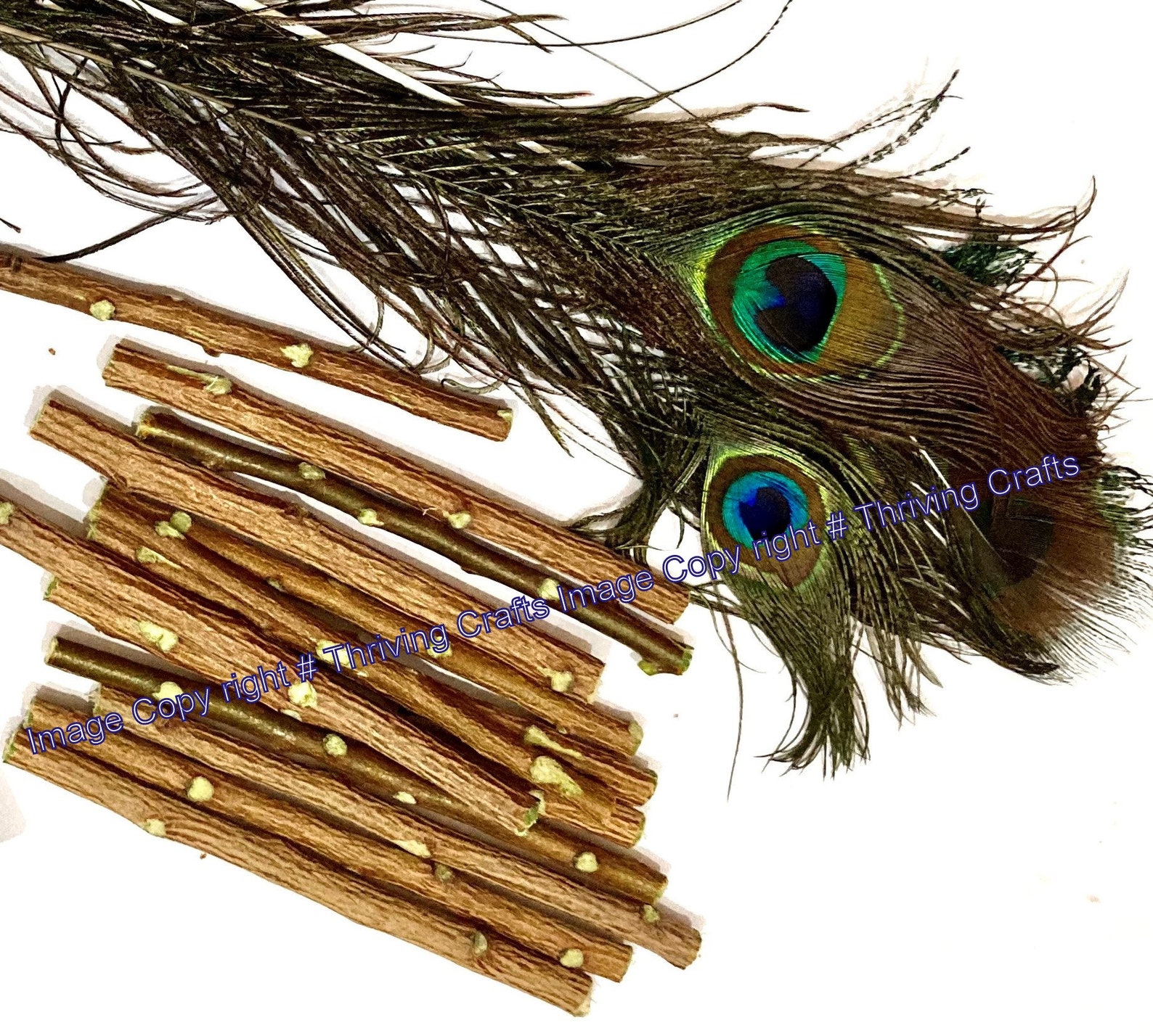 Chewing Datun sticks /Neem Chew Sticks for Healthy Teeth and Etsy