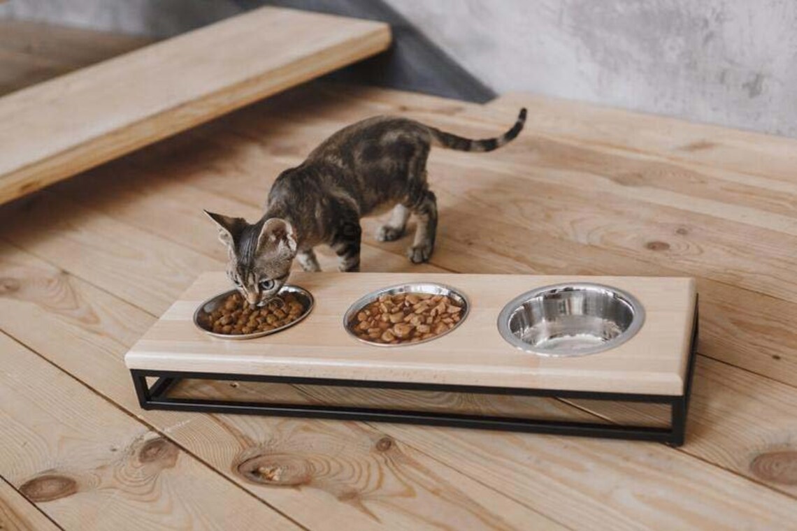 Pet Food Bowl Stand 3 Bowls Pet Feeder Small Dog Bowl Stand Etsy