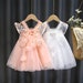 Butterfly wings Girls tulle lace Dress Princess flower Clothing Summer Party tutu Kids Dresses for Girls wedding Birthday 3-12 Years 