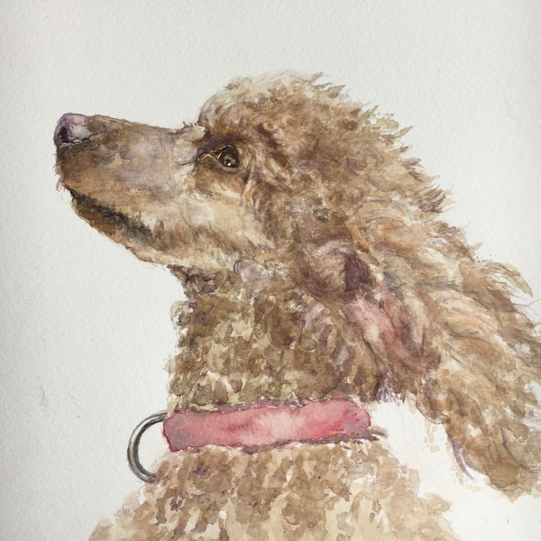 High Quality Print of HAND PAINTED Original Watercolour Painting of a Brown Poodle,  Nursery, Unique Gift for Dog Lovers, Pet Portrait