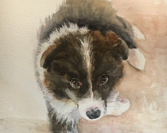 High Quality Print of HAND PAINTED Original Watercolour Painting of a Border Collie Puppy, Nursery, Unique Gift for Dog Lover, Pet Portrait