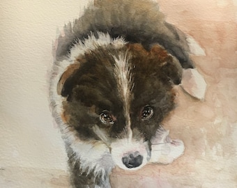 ボーダーコリーの水彩画：ロン・クラジェフスキーのファインアート