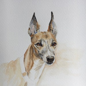 Hochwertige Druck von HAND gemalt original Aquarell. Windhund, Hund, Kindergarten, einzigartiges Geschenk für Hundeliebhaber