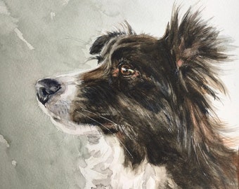 ボーダーコリーの水彩画：ロン・クラジェフスキーのファインアート