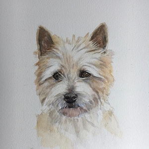 High Quality Print of HAND PAINTED original Watercolour.  Cairn Terrier, Westie, Dog.  Unique Gift Present for Dog Animal Pet lovers