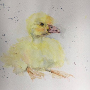 Hochwertige Druck von HAND gemalt Original Aquarell.  Baby Küken, Vogel, Tier.  Einzigartiges Geschenk Geschenk für Tierliebhaber