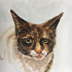 High Quality Print of HAND PAINTED original Watercolour. Calico Tabby Cat, Childs room, Nursery, Unique Gift for Dog Cat Animal lovers