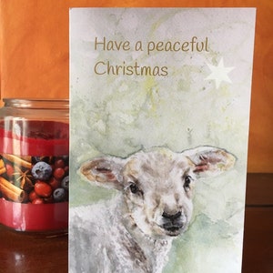 Tarjeta de Navidad del cordero del bebé, cordero y tarjeta de Navidad estrella en el Reino Unido, tener una tarjeta de Navidad pacífica. Tarjeta de Navidad para un niño.