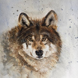 High Quality Print of HAND PAINTED original Watercolour.  Wolf, Wildlife art, Dog, Unique Gift for Wild Animal lovers