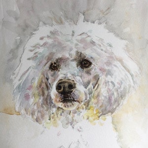 High Quality Print of HAND PAINTED original Watercolour. White Poodle, Dog, Unique Gift for Animal lovers