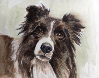 ボーダーコリーの水彩画：ロン・クラジェフスキーのファインアート