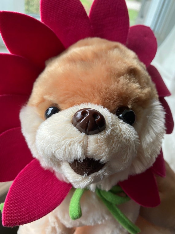 Boo the Worlds Cutest Dog by Gund Plush Stuffed Toy 