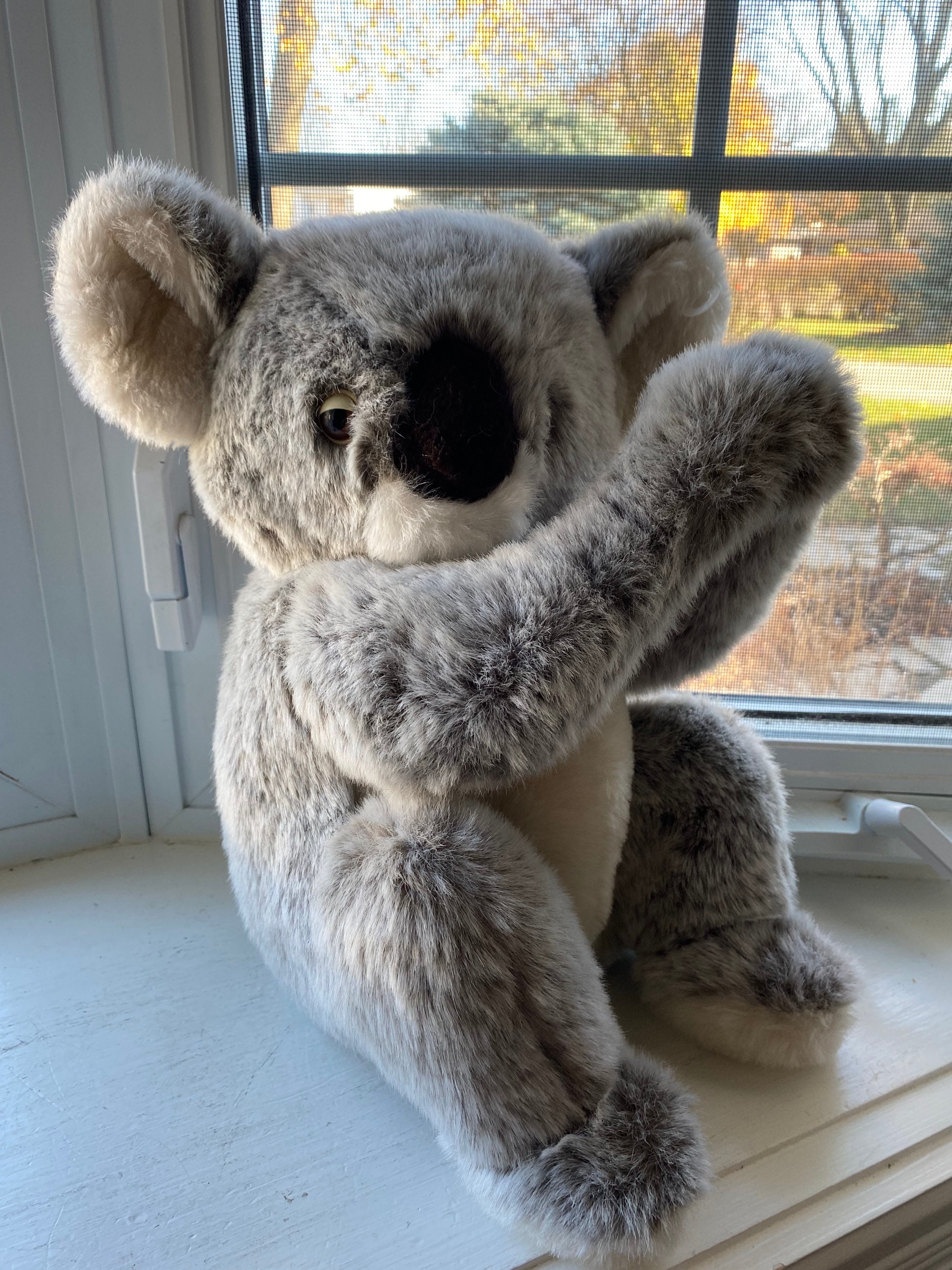 koala teddy