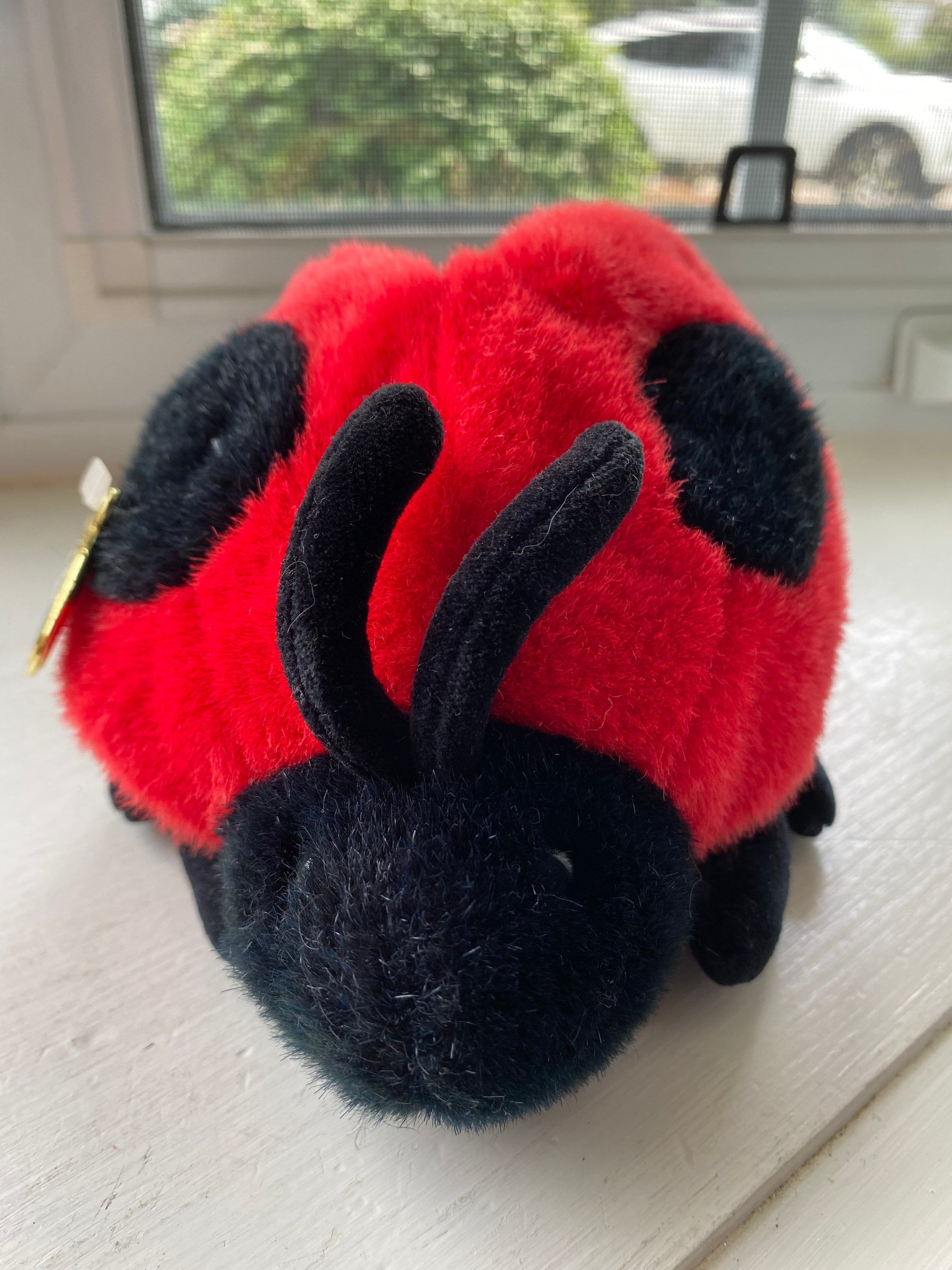 gund ladybug