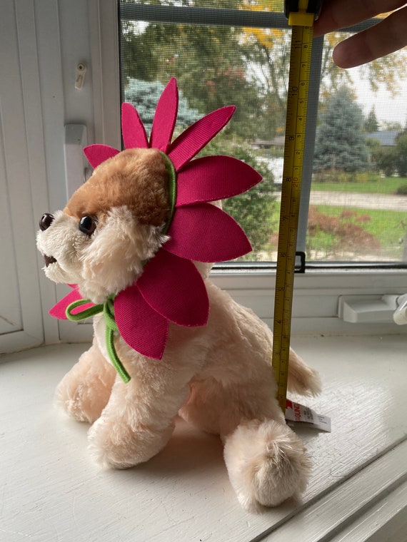 Boo the Worlds Cutest Dog by Gund Plush Stuffed Toy -  Canada
