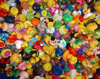 Rubber Ducks 2" Bulk Variety Pack