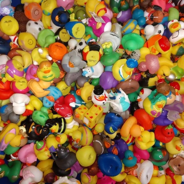 Rubber Ducks 2" Bulk Variety Pack