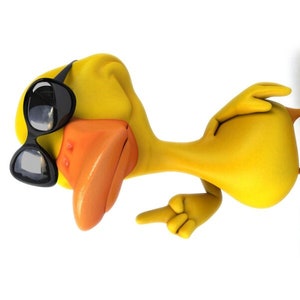 Puede incluir: Un pato de goma amarillo con gafas de sol y apuntando con su ala derecha. El texto "HOLY DUCK, NICE RIDE! TAKE A PIC AND POST IT ON INSTAGRAM/FACEBOOK" est&aacute; escrito en el lado izquierdo de la imagen. El texto "DUCKDUCKJEEPTAGS.COM" est&aacute; escrito en el lado derecho de la imagen.