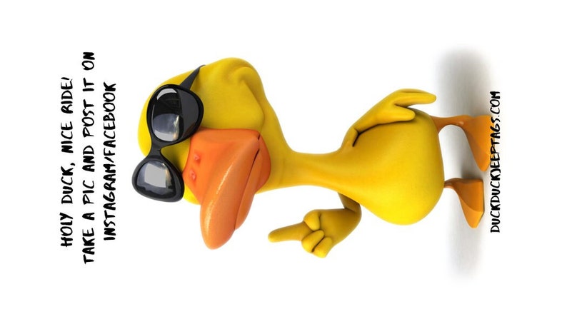 Puede incluir: Un pato de goma amarillo con gafas de sol y apuntando con su ala derecha. El texto "HOLY DUCK, NICE RIDE! TAKE A PIC AND POST IT ON INSTAGRAM/FACEBOOK" est&aacute; escrito en el lado izquierdo de la imagen. El texto "DUCKDUCKJEEPTAGS.COM" est&aacute; escrito en el lado derecho de la imagen.