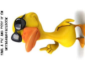Duck Duck You've Been Ducked - Ducking TAGS Set of 50/100/200 6 Unique Styles