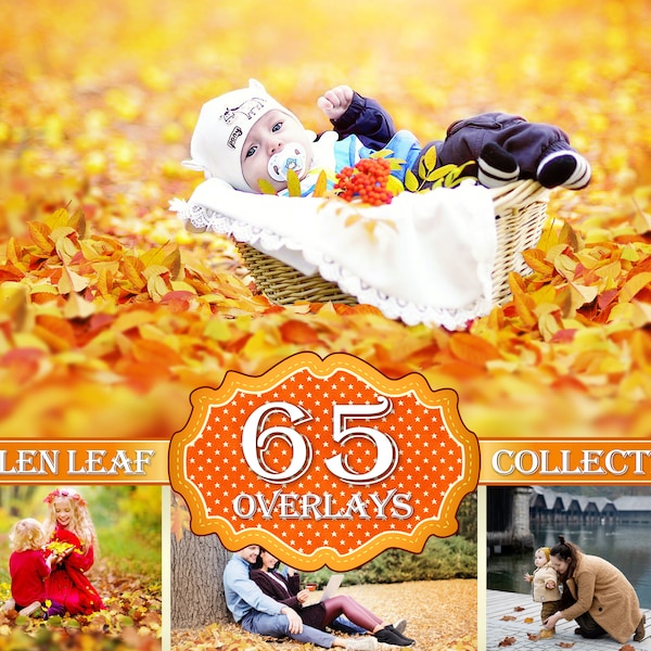 65 Fall Autumn Fallen Leaves Photo Overlays, Fall Autumn Fallen Leaves Photo, Fall Autumn Foliage Overlays, Photoshop Overlay, PNG