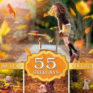 55 Falling Leaves Photo Overlays, Fall Autumn Falling Leaves Photo, Fall Autumn Falling Foliage, Photoshop Overlay  PNG