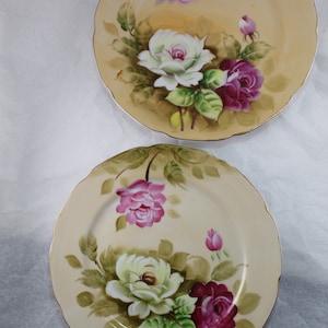 Vintage 1960&#39;s pair of hand painted Lefton Heritage Rose (Brown) 9.25&quot; plates, in Vintage Very Good to Excellent condition.  Gorgeous!