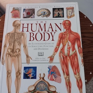 May include: A hardcover book titled "The Human Body" with illustrations of the human anatomy. The cover features a skeleton and a muscular figure, along with diagrams of internal organs. The book is an illustrated guide to the human body's structure, function, and disorders.