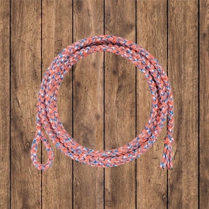 May include: A braided rope with a red and blue pattern, coiled into a circle. The rope is on a wooden background.