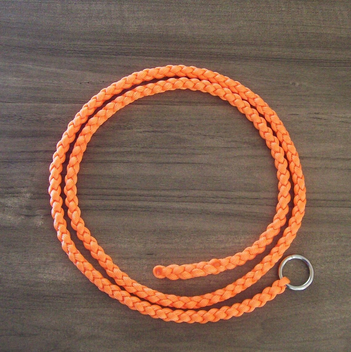 Paracord Piggin' String Cattle Tiedown Rope 310 Ft. Etsy