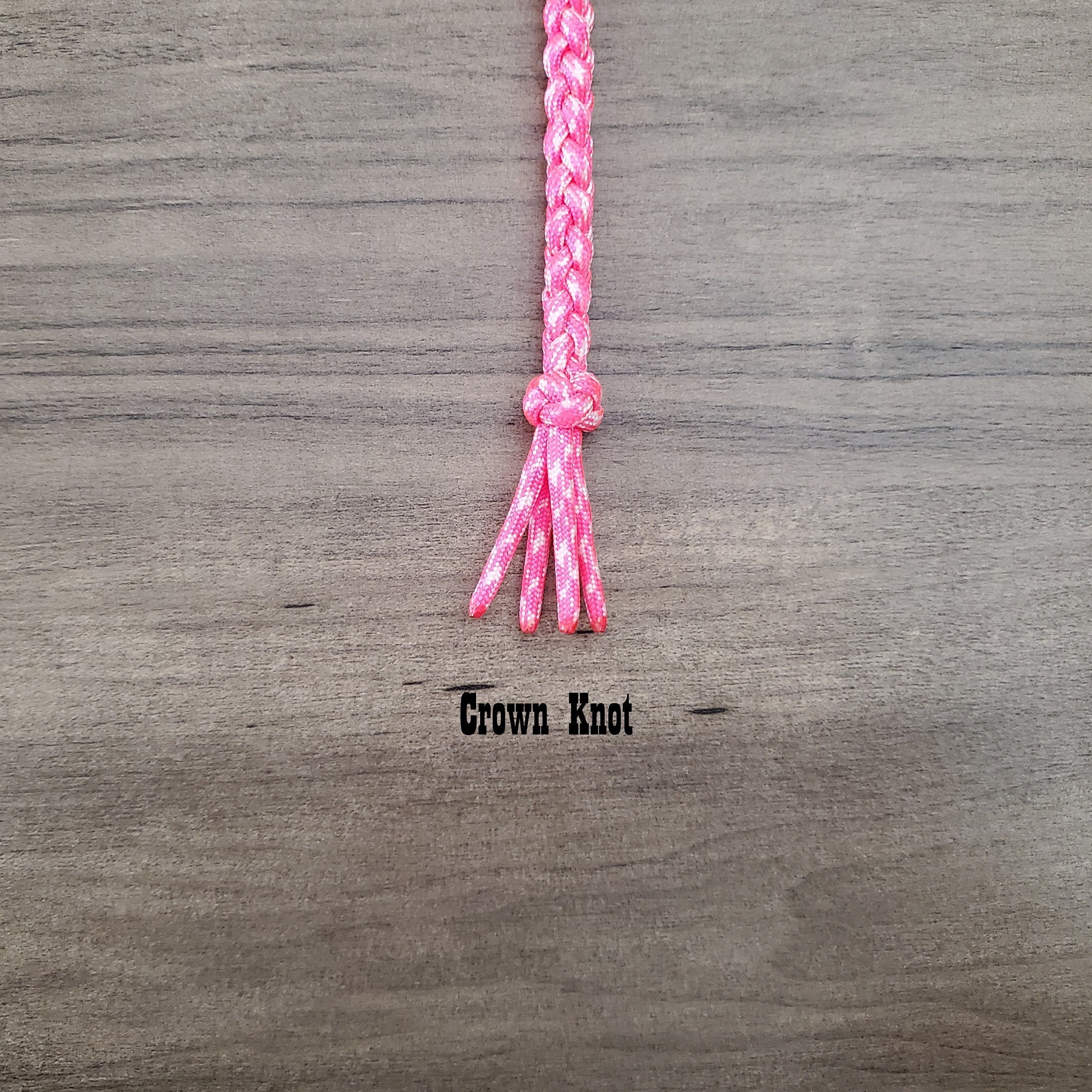 Paracord Piggin' String, Cattle Tiedown Rope, Metal Ring, 310 Ft