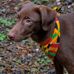 Fleece Lined Dog Bandana/ Kente Dog  Bandana/ Reversible Dog Bandana/ Dog Accessory/ Puppy Bandana/ Puppy Gift/ Dog Neckwear/Bandan For Pets