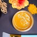 Sea Moss Turmeric Face Mask/ Turmeric Face Mask / Wild Crafted Sea Moss/ Sea Moss Gel Mask / Sea Moss Mask/ Sea Moss and Turmeric/ Gel