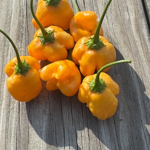 May include: A collection of bright yellow peppers with green stems and caps. The peppers have a unique, bumpy shape and are arranged on a weathered wooden surface, with sunlight casting shadows.