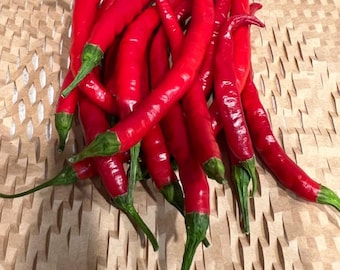 Thin Cayenne Pepper Seeds - 25 Seeds