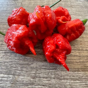 10+ Reaper Naga  Pepper Seeds