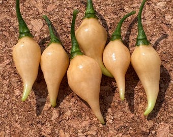 May include: Six fresh chili peppers with smooth, pale peach-colored skin and tapered, pointed ends. Each pepper features a vibrant green stem attached to the top, showcasing a teardrop shape with a glossy finish and a light, creamy hue.