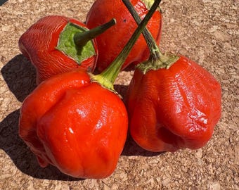 Apple Crisp Pepper Seeds 25+