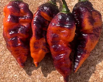 Nazgûl’s Breakfast - 10+ Pepper Seeds
