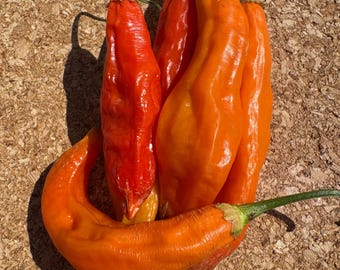 May include: A cluster of fresh chili peppers with smooth, elongated skins in vibrant shades of red and orange. Each pepper features a thin green stem at the top, with one pepper curved horizontally across the base of the upright vertical group.
