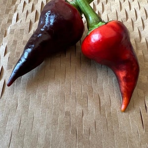 10+ Comstock Purple Pepper Seeds