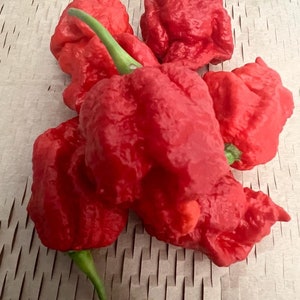 May include: Five red chili peppers, known as the Carolina Reaper, are arranged on a brown textured surface. The peppers are wrinkled and have a bumpy texture.