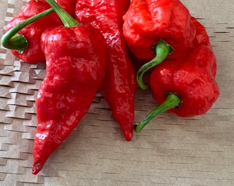 30 Heirloom Super-hot Ghost Bhut Jolokia Red Pepper Seeds 2023 High ...