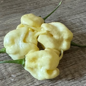 10 White Carolina Reaper Pepper Seeds
