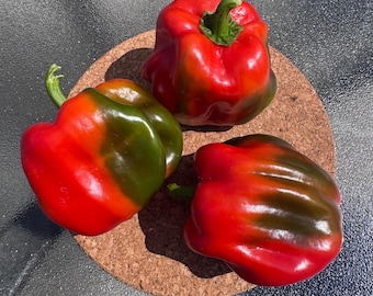 May include: Three bell peppers with smooth, glossy skin showing a gradient of vibrant red and deep green coloration. Each pepper features a rounded, lobed shape with a small green stem attached at the top, arranged together on a circular cork mat.