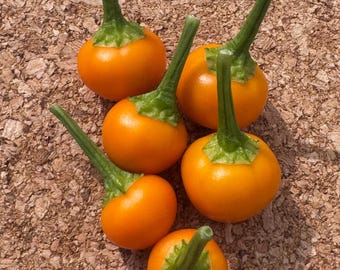 May include: Six small, round, bright orange peppers with smooth, glossy skins and long, slender green stems attached to the top. Each pepper features a distinct green calyx where the stem meets the fruit, showcasing a vibrant color contrast.