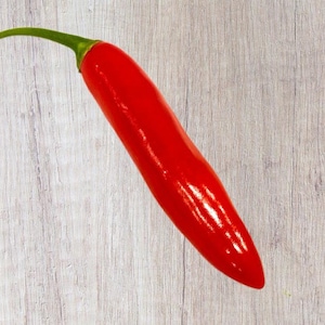 10+ Serrano Tampiqueno Pepper Seeds